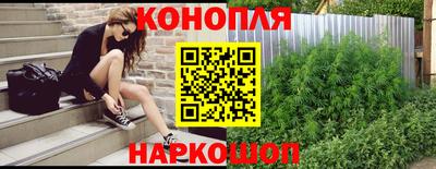 стафф Краснодар