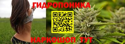 стафф Краснодар